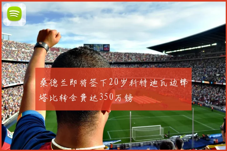 桑德兰即将签下20岁科特迪瓦边锋塔比转会费达350万镑