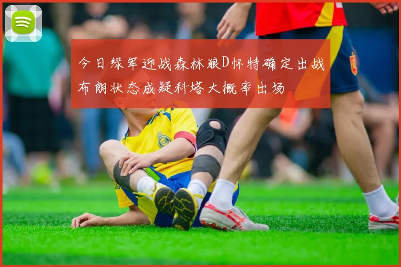 今日绿军迎战森林狼D怀特确定出战布朗状态成疑科塔大概率出场